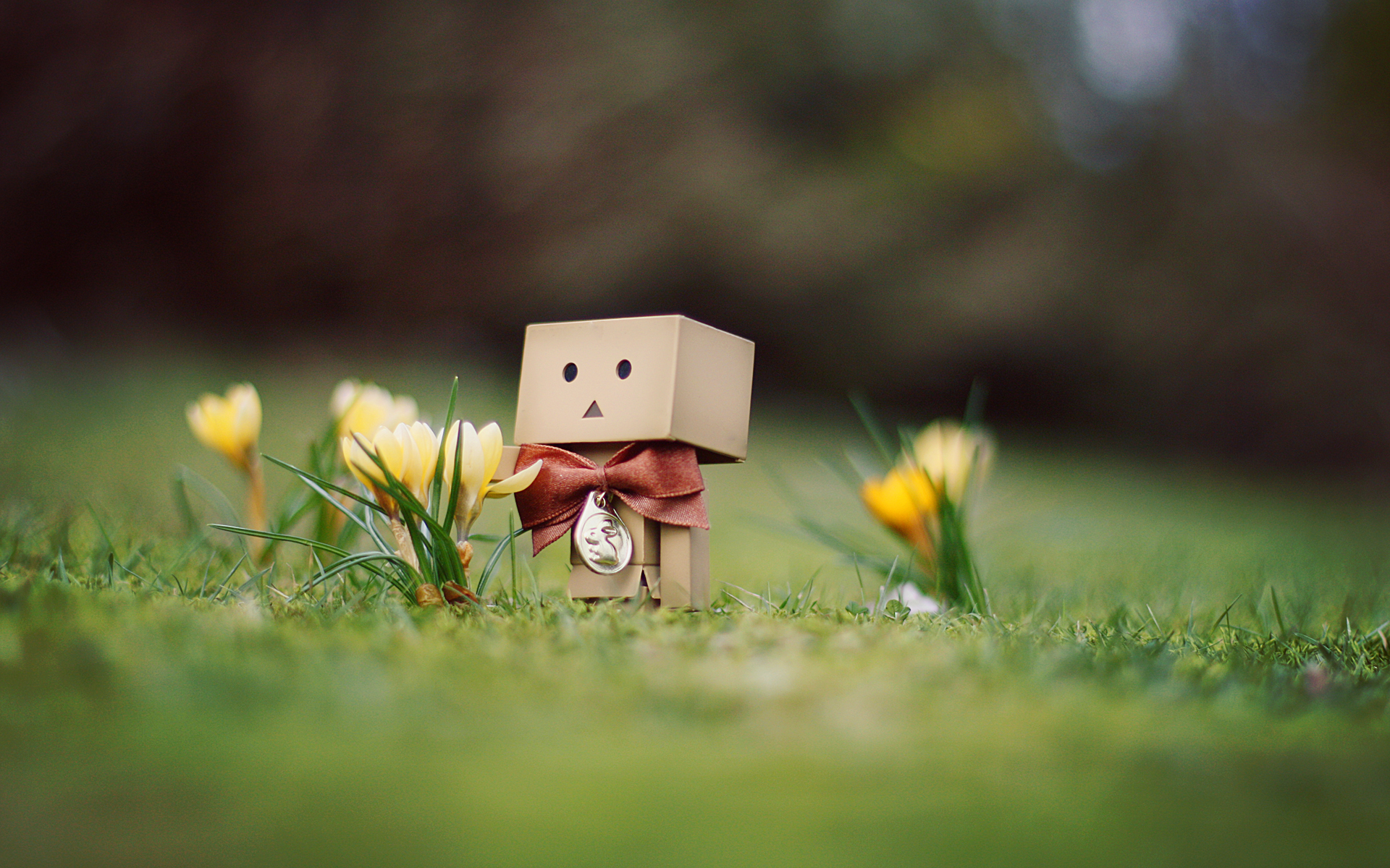 Danbo March Wallpaper. July 21, 2010 brokrek Leave a comment Go to comments